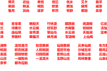 如何为酒店起一个独特且吸引人的名字