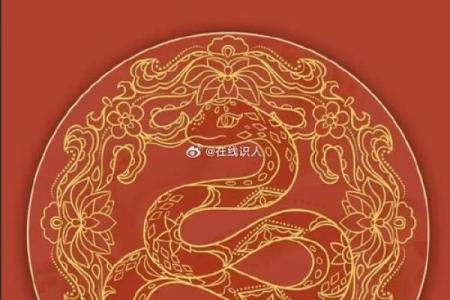 蛇年生人的命运走势：运势起伏与应对策略