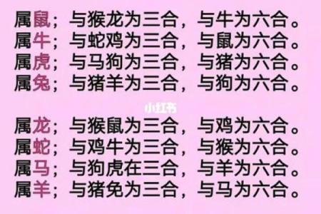 女鸡男蛇是否合适？探讨两者婚姻的优缺点