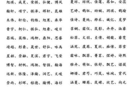 男孩起名宝典：如何根据姓氏挑选最佳名字