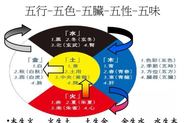 五脏与五行的深刻联系：探索中医理论中的五行养生法则