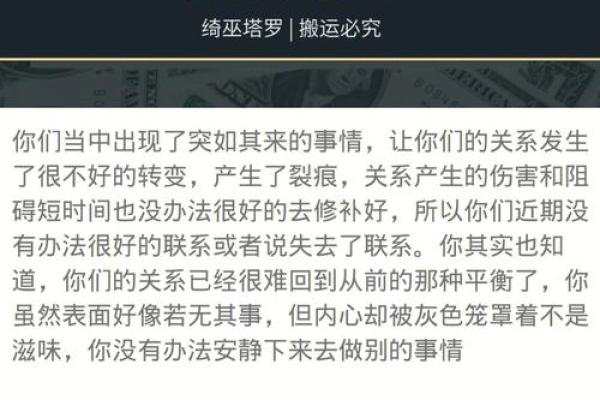 狗年运程全解析：健康、财富与感情运势指南