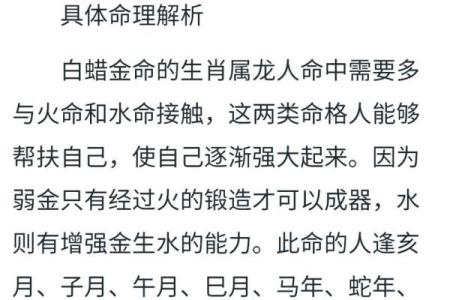 属什么命的解析与运势分析