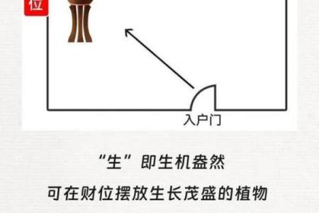 提升门面财位风水的实用策略与建议