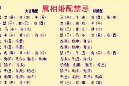 属虎男与属虎女的性格碰撞与婚姻幸福指数