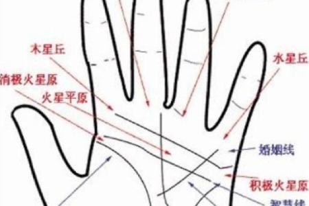 从手型看命运：哪些手形暗示着富贵一生
