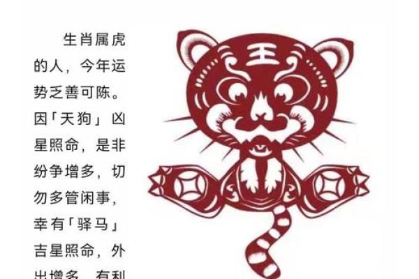 龙年运势解析及全年运程预测 龙年运势解析及全年运程预测