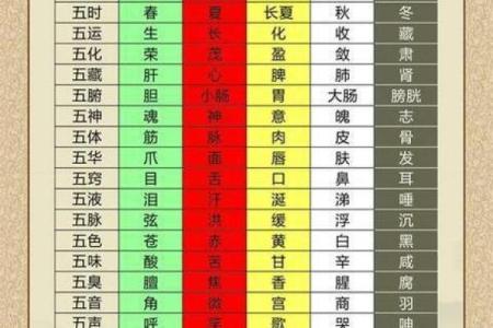 五行学说中的属相解析与命理关系探讨