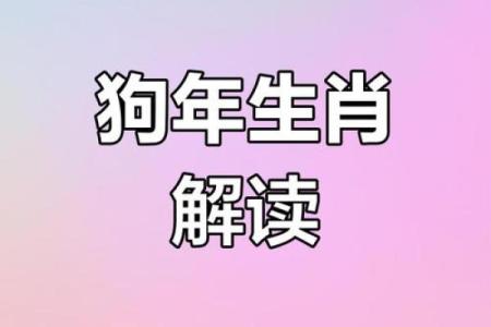 与属狗人运程解析