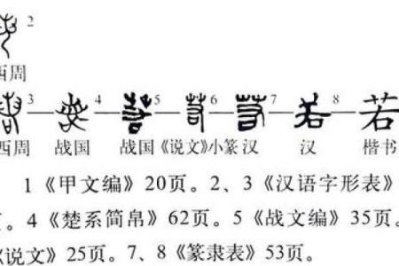 诺字的命名哲学：承诺、信念与未来