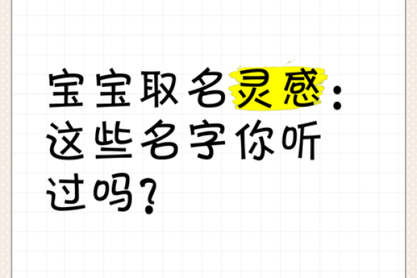 土名字大全：灵感启发与独特命名技巧