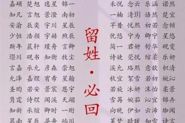 起名网站推荐：让你轻松找到最合适的名字