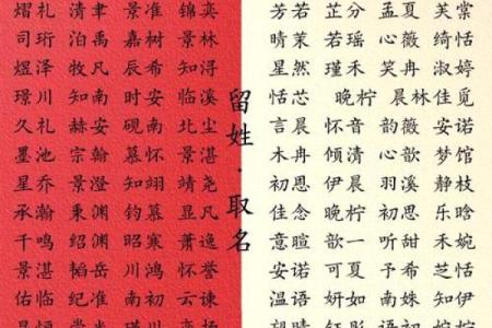 流行与个性并存：最具创意的宝宝名字