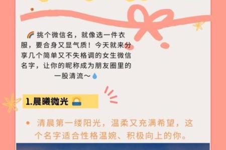 简约而不简单的名字魅力