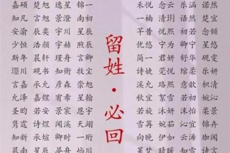 起名网站推荐：让你轻松找到最合适的名字