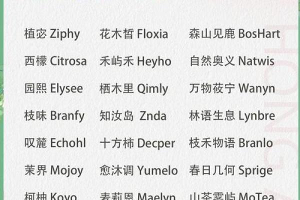 红酒品牌命名灵感：让你的公司名字更具吸引力