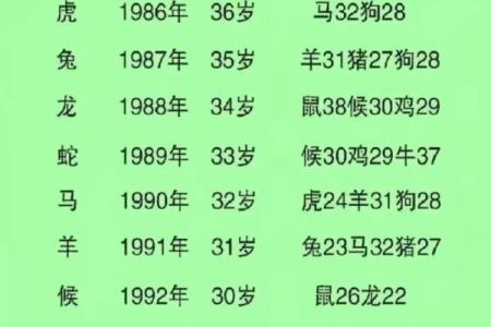 属龙女和属鼠男的性格契合度如何