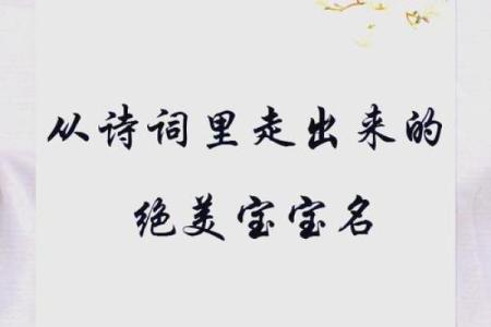 从古诗词中汲取灵感，为女孩起名字