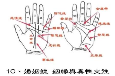 什么手掌纹线代表富贵命运