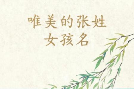 张姓女宝宝名字灵感：从五行八字到音韵搭配的全面考虑