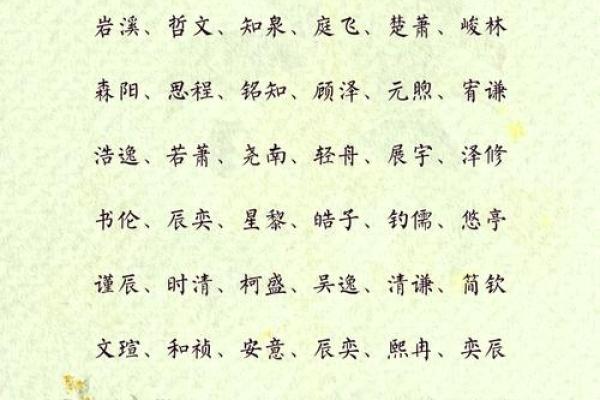 男孩名字大全精选，寓意深远的选择