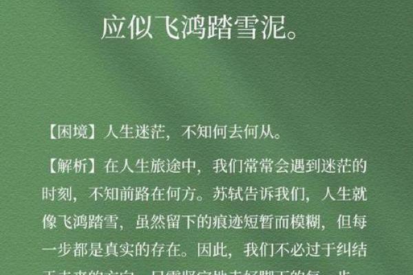 命不好的人生如何走出困境