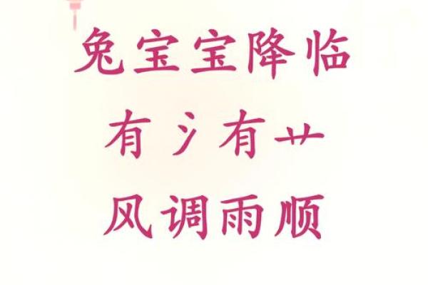 兔宝宝取名宝典 提升名字寓意的独特选择