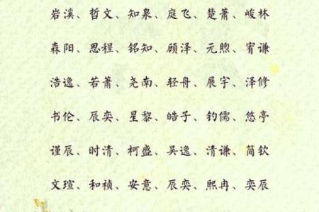 男孩名字大全精选，寓意深远的选择