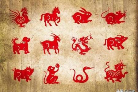 猴年马人运程解析 运势全揭晓
