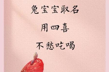 兔宝宝取名宝典 提升名字寓意的独特选择