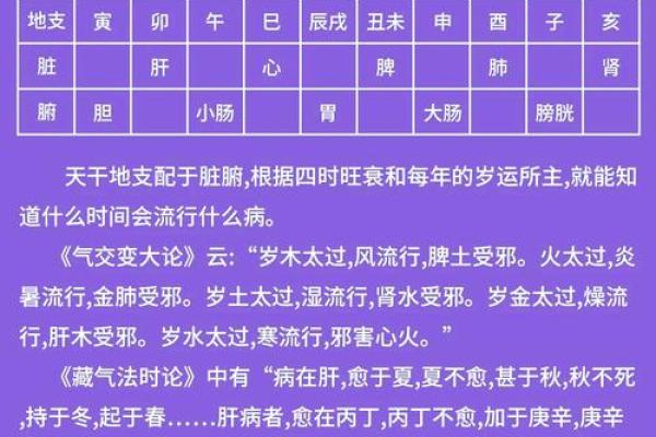 免费生辰八字命名服务，解析五行八字的命名奥秘