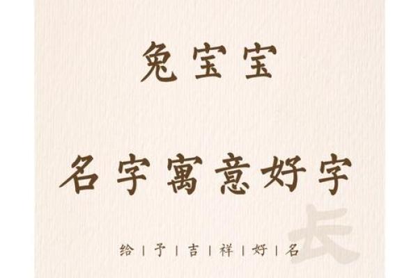 兔宝宝名字大全 给你灵感的可爱名称