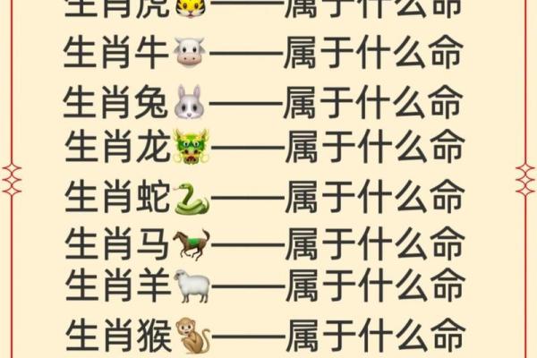 属猴人的五行与命理分析