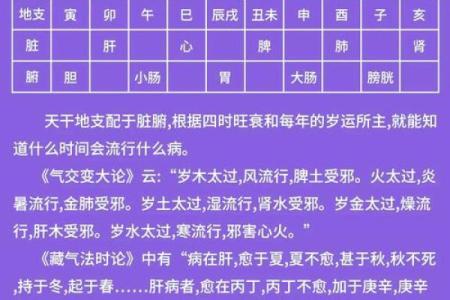 免费生辰八字命名服务，解析五行八字的命名奥秘