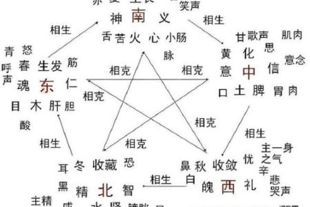 午命与五行的关系及其影响