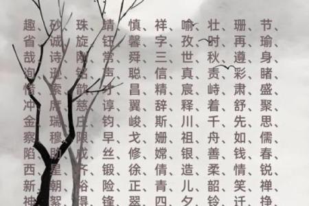 金五行代表的属性与象征意义解析