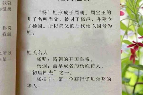 适合男孩的杨姓名字推荐与分析