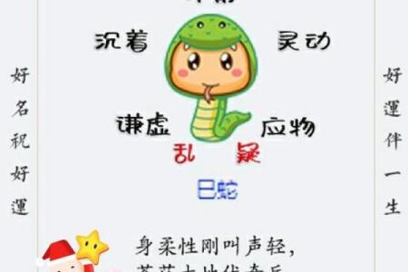 属蛇运势详解：健康、感情与财运全解析
