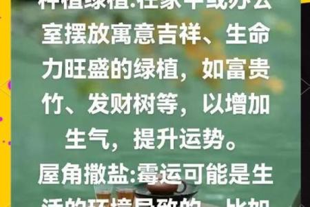 通过风水视频掌握提升健康运势的小窍门