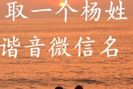 适合男孩的杨姓名字推荐与分析