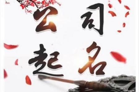 创业者必看：如何使用免费公司起名服务