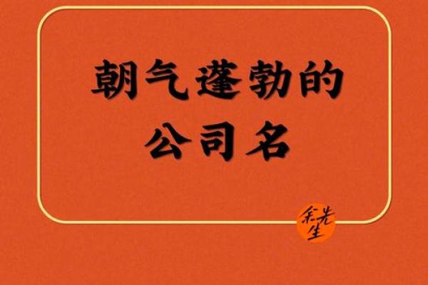 用测字技巧为公司起个充满活力的名字