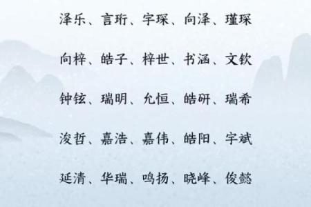 于姓男宝宝命名技巧：如何平衡音韵和寓意