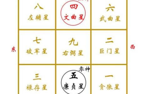 适合财位摆放的风水花与其能量解析