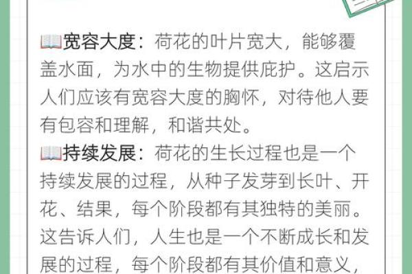 莲字的起源与在文学中的独特地位 莲字的起源与在文学中的独特地位