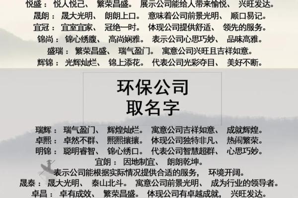 如何通过名字体现旅游公司特色与价值