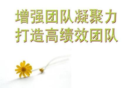 如何通过公司风水设计提升团队凝聚力