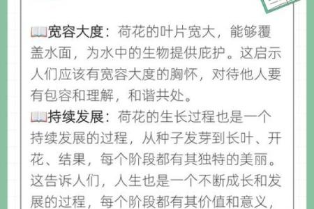 莲字的起源与在文学中的独特地位