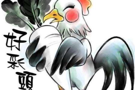 出生的猴人运势透析：突破与转机
