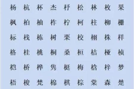 栩字五行属性解析及其相关寓意探讨
